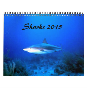 Haifische tragen 2015 ein kalender