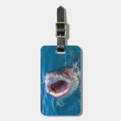 Haifischfisch Foto Gepäckmarke Gepäckanhänger (Vorderseite vertikal)