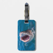 Haifischfisch Foto Gepäckmarke Gepäckanhänger (Rückseite vertikal)