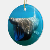 Haifischfische Tropischer Ozean Schicksal Geschenk Keramikornament (Links)