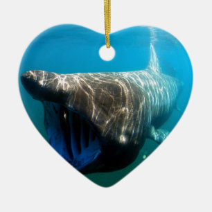 Haifischfische Tropischer Ozean Schicksal Geschenk Keramikornament