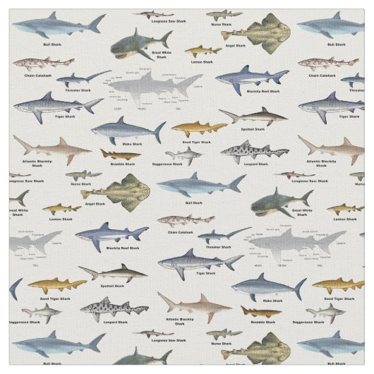 Haifischkennzeichen Stoff (Nahaufnahme)