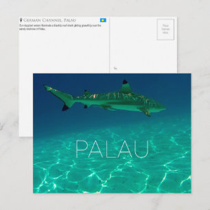 Haifischriff, Palau Reise-Postkarte Postkarte