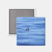 Haifischschwimmen im Meer Magnet (Vorderseite/Rückseite)
