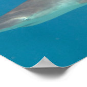 Haifischschwimmen unter Wasser Poster (Ecke)