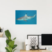 Haifischschwimmen unter Wasser Poster (Heimbüro)