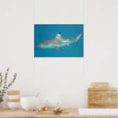 Haifischschwimmen unter Wasser Poster (Küche)