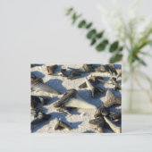 Haifischzahn-Postkarte Postkarte (Stehend Vorderseite)