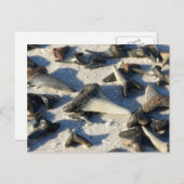 Haifischzahn-Postkarte Postkarte (Vorne/Hinten)