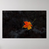 Haika Poster (Vorne)