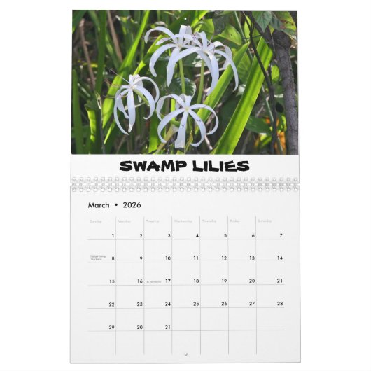 Haikalender Kalender (Mär 2026)