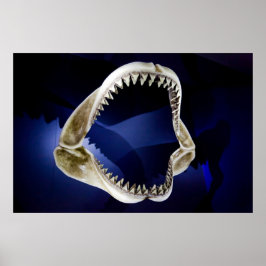 Haikiefer und Zahnpflaster AB 14.95 Uhr Poster