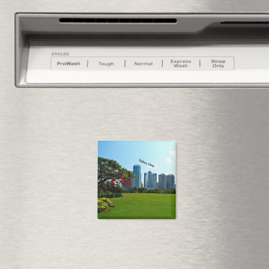 Haikou, China, Stadtbild Magnet (In Situ (Geschirrspüler))