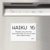 HAIKU 16 MAGNET (In Situ (Geschirrspüler))