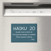 HAIKU 20 MAGNET (In Situ (Geschirrspüler))