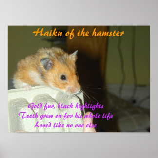 Haiku des Hamsters 1 Poster