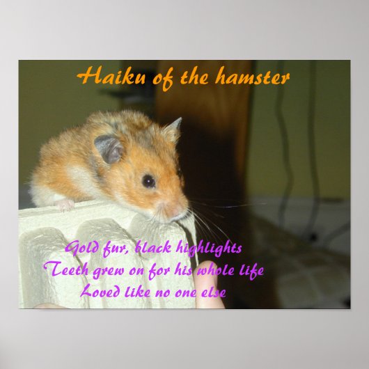 Haiku des Hamsters 1 Poster (Vorne)