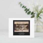 Haiku Katze 12 Postkarten (Stehend Vorderseite)