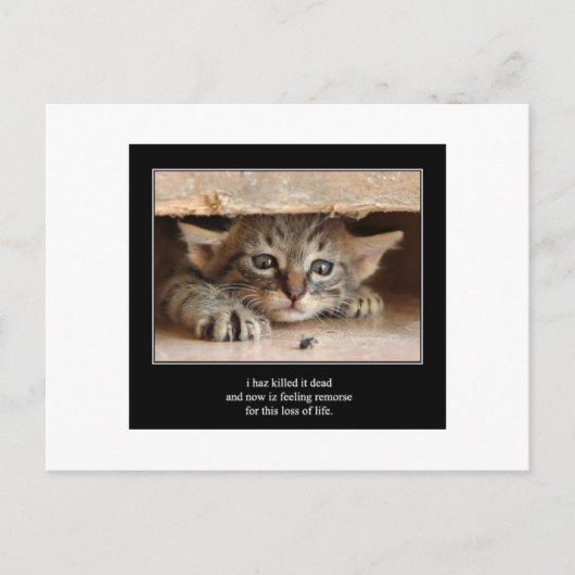 Haiku Katze 12 Postkarten (Vorderseite)