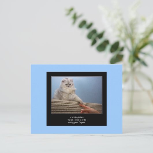 Haiku Katze 14 Postkarte (Stehend Vorderseite)