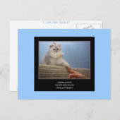 Haiku Katze 14 Postkarte (Vorne/Hinten)