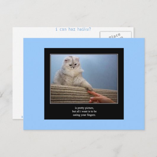 Haiku Katze 14 Postkarte (Vorne/Hinten)