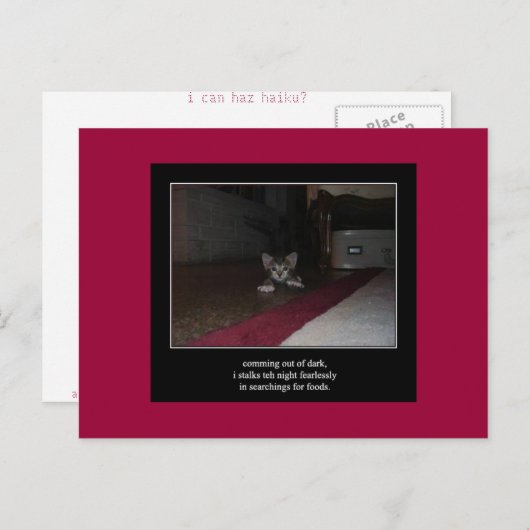Haiku Katze 1 Postkarte (Vorne/Hinten)