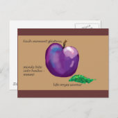 Haiku - Leben ist Poesie Postkarte (Vorne/Hinten)