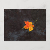 Haiku Postcard Postkarte (Vorderseite)