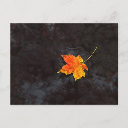 Haiku Postcard Postkarte (Vorderseite)