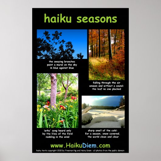 Haiku Seasons Poster (schwarzer Hintergrund) (Vorne)