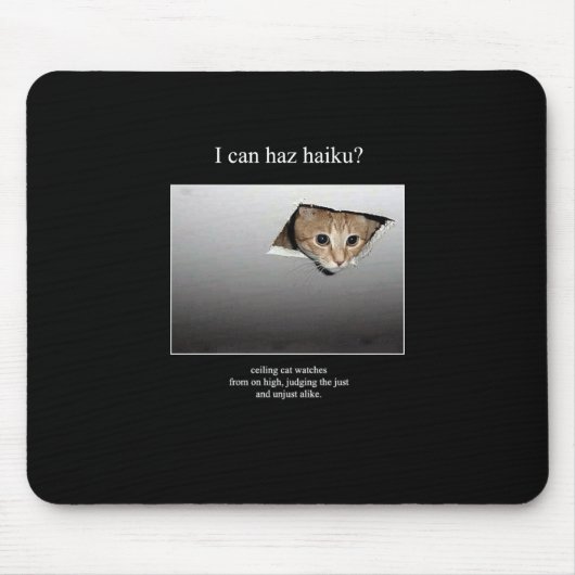 Haikukatze 18 mousepad (Vorne)