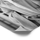 Haile Selassie Lion Rasta Solomon Jah Rastafari Poster (Ecke)