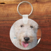 Hailey - Wire Fox Terrier Foto-8 Schlüsselanhänger (Vorderseite)