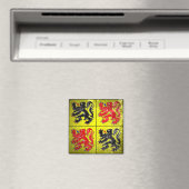 Hainaut Magnet (In Situ (Geschirrspüler))