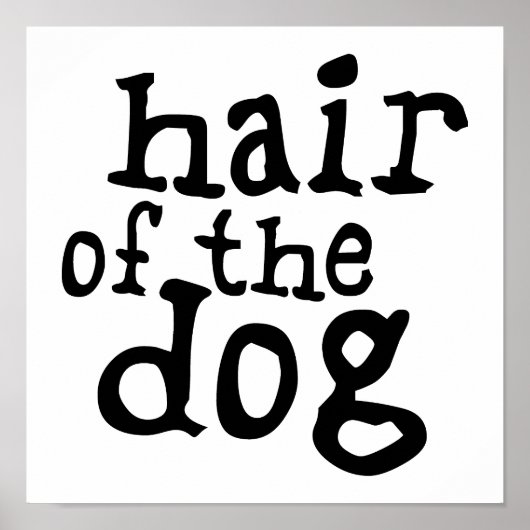 Hair des Hundes Poster (Vorne)