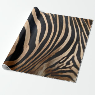 hair skin of zebraskin,animal,background,black,bod geschenkpapier