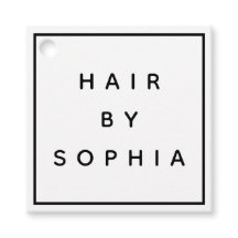 HAIR-stylisches elegantes Logo