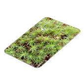 Haircap Moss Magnet (Linke Seite)