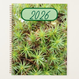 Haircap Moss Planner - Nature’s Green Agenda Planer