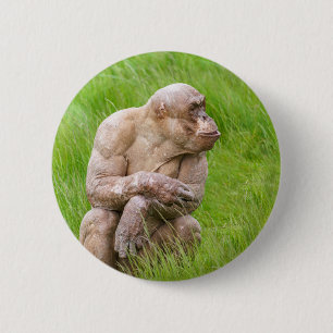 Hairless Chimpanze Button
