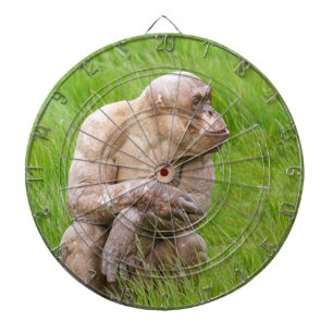 Hairless Chimpanze Dartscheibe