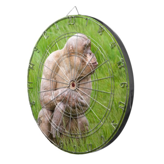 Hairless Chimpanze Dartscheibe (Vorderseite rechts)