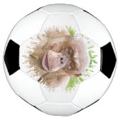 Hairless Chimpanze Fußball (Gedreht)