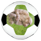 Hairless Chimpanze Fußball (Gedreht)