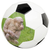 Hairless Chimpanze Fußball (Dreiviertel)