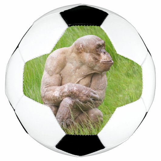 Hairless Chimpanze Fußball (Vorderseite)