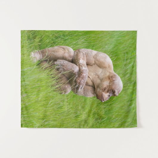 Hairless Chimpanze Wandteppich (Vorderseite (Horizontal))