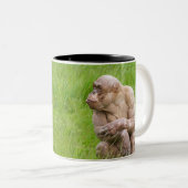 Hairless Chimpanze Zweifarbige Tasse (VorderseiteRechts)