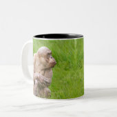 Hairless Chimpanze Zweifarbige Tasse (Vorderseite Links)